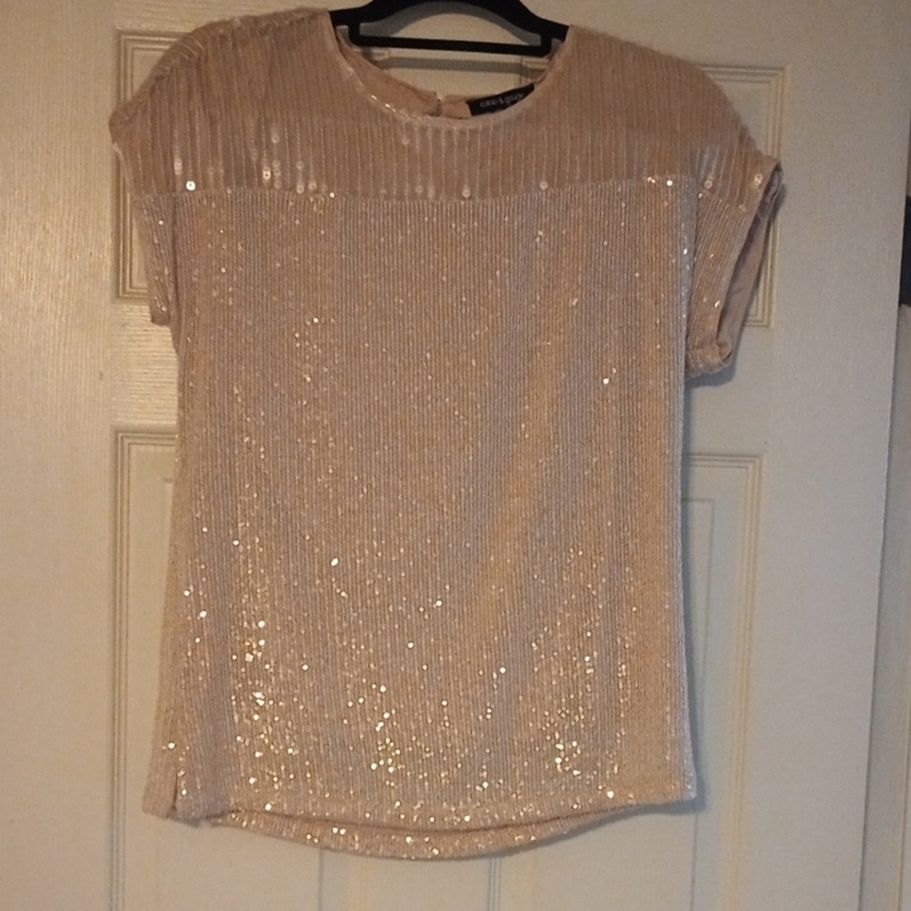 Cable & Gauge Shimmering Beige Sequin Blouse